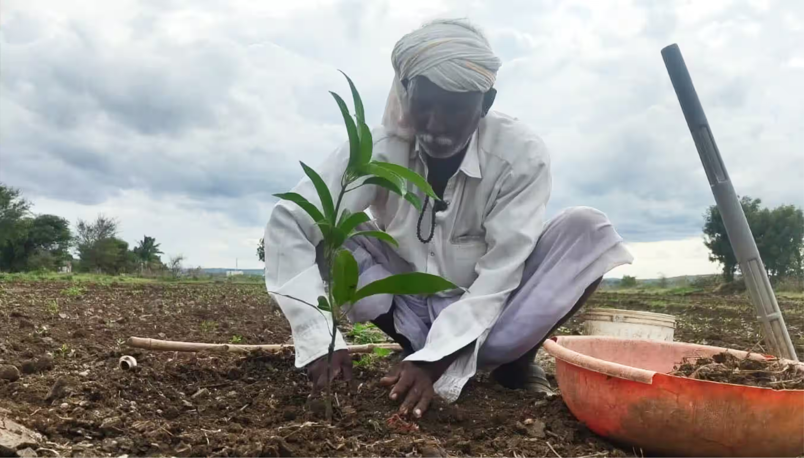 Introducing Greening India