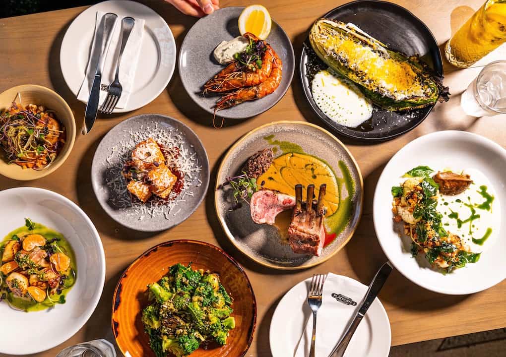 Shared Plates in Auckland Zomato