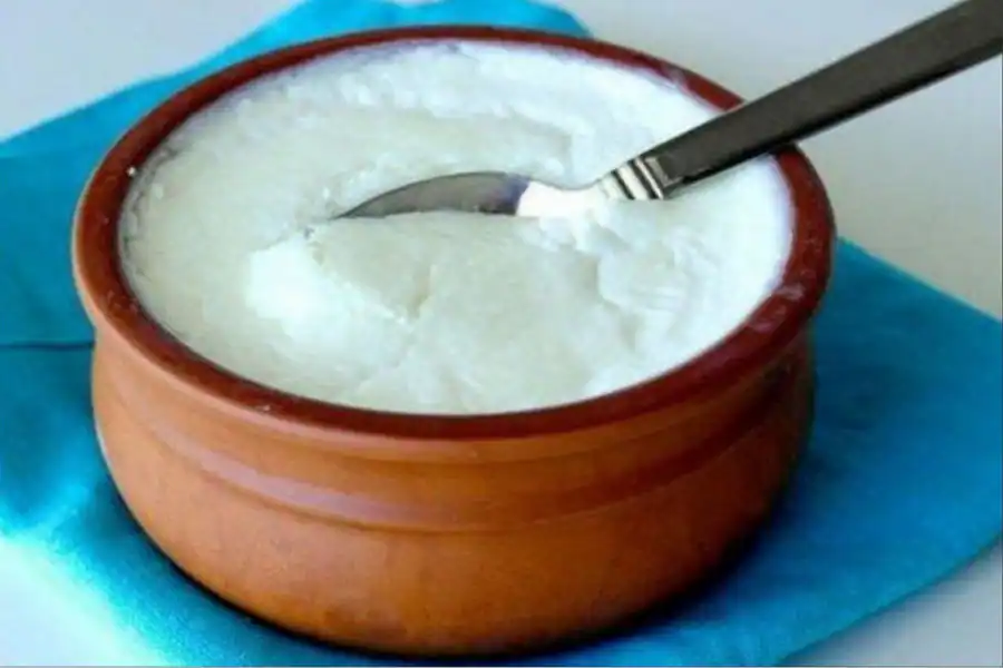 Plain Curd