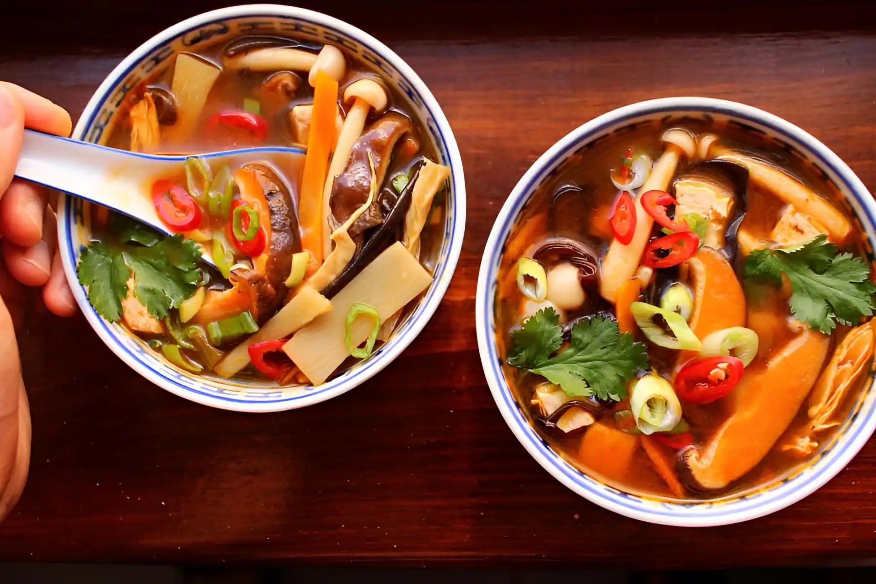 Hot N Sour Veg Soup