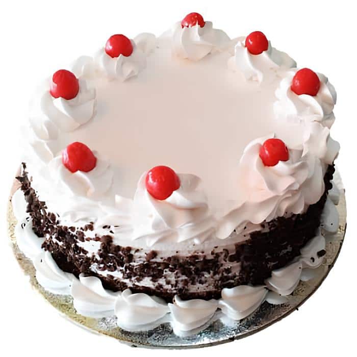 The Cake Gallery in Modhera,Mehsana - Best Cake Shops in Mehsana - Justdial