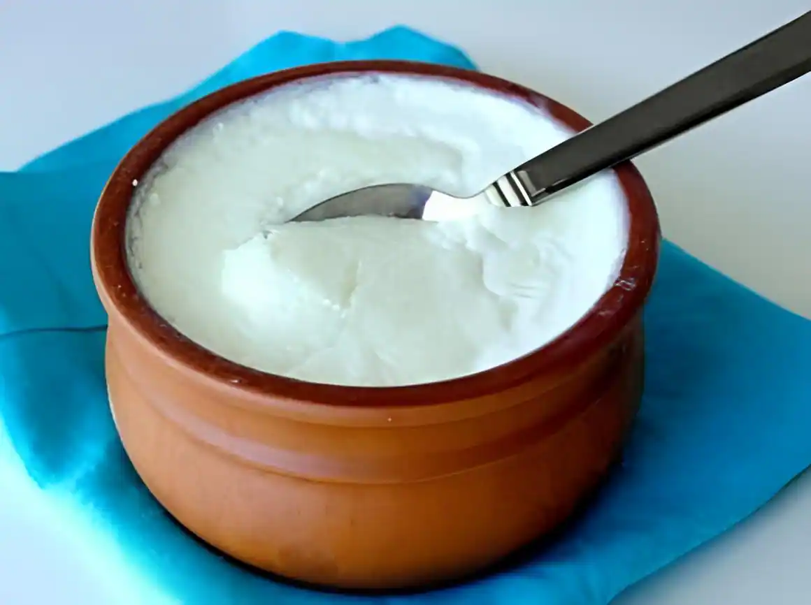 Plain Curd