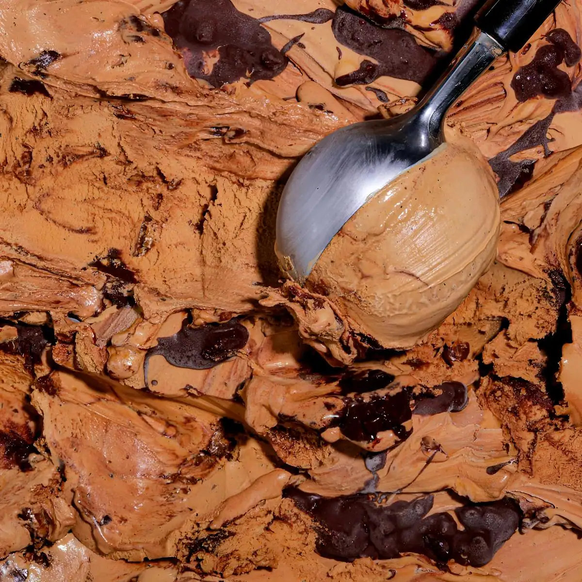 Cookie Crunch Gelato