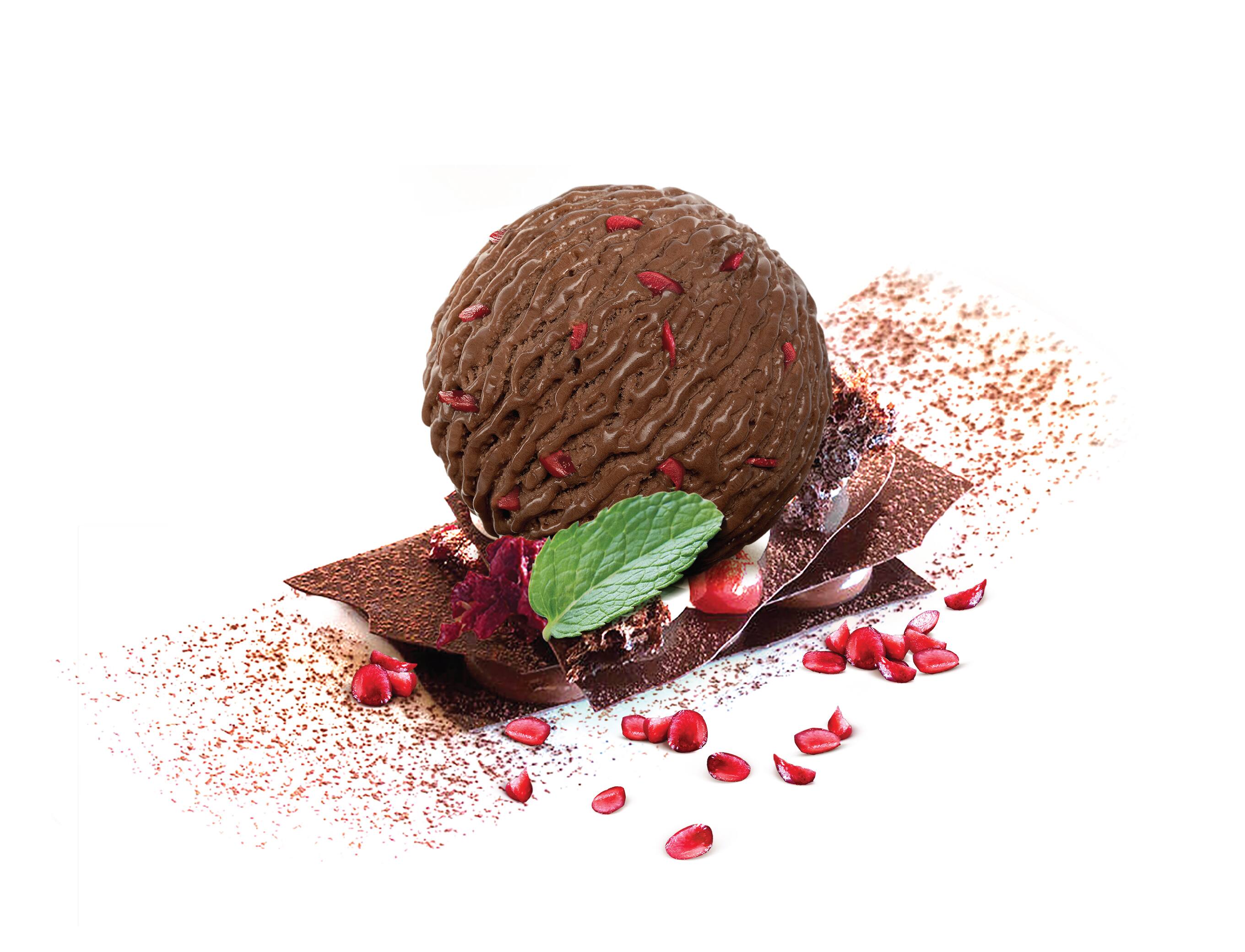 Belgian Chocolate Ice Cream