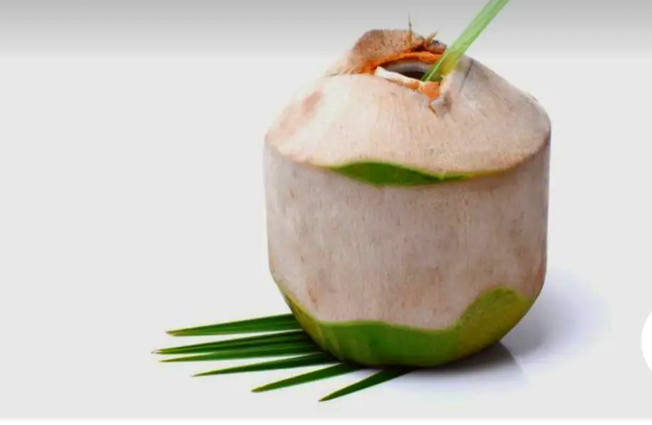 Shree Hari Juice Center