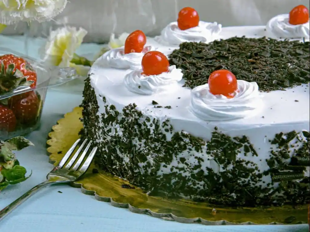 Sanjay Fresh Bake Oven