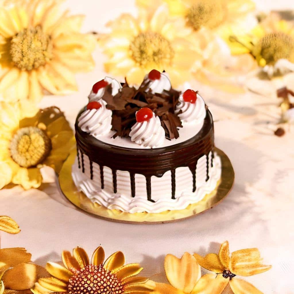 Cake Studio, Rohini order online - Zomato