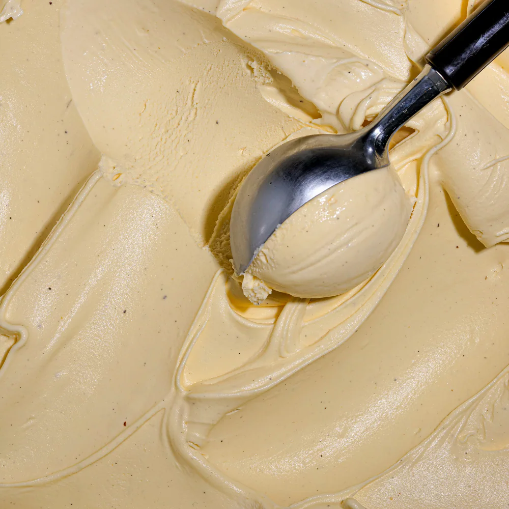 Vanilla Madagascar Gelato