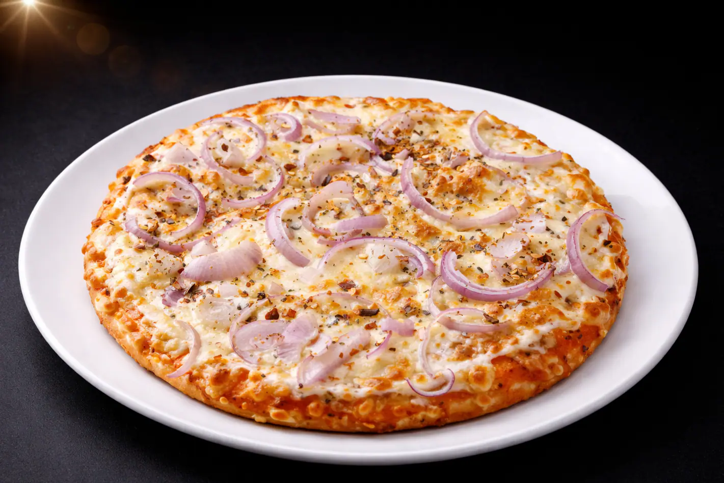 Cheesy Onion Pizza