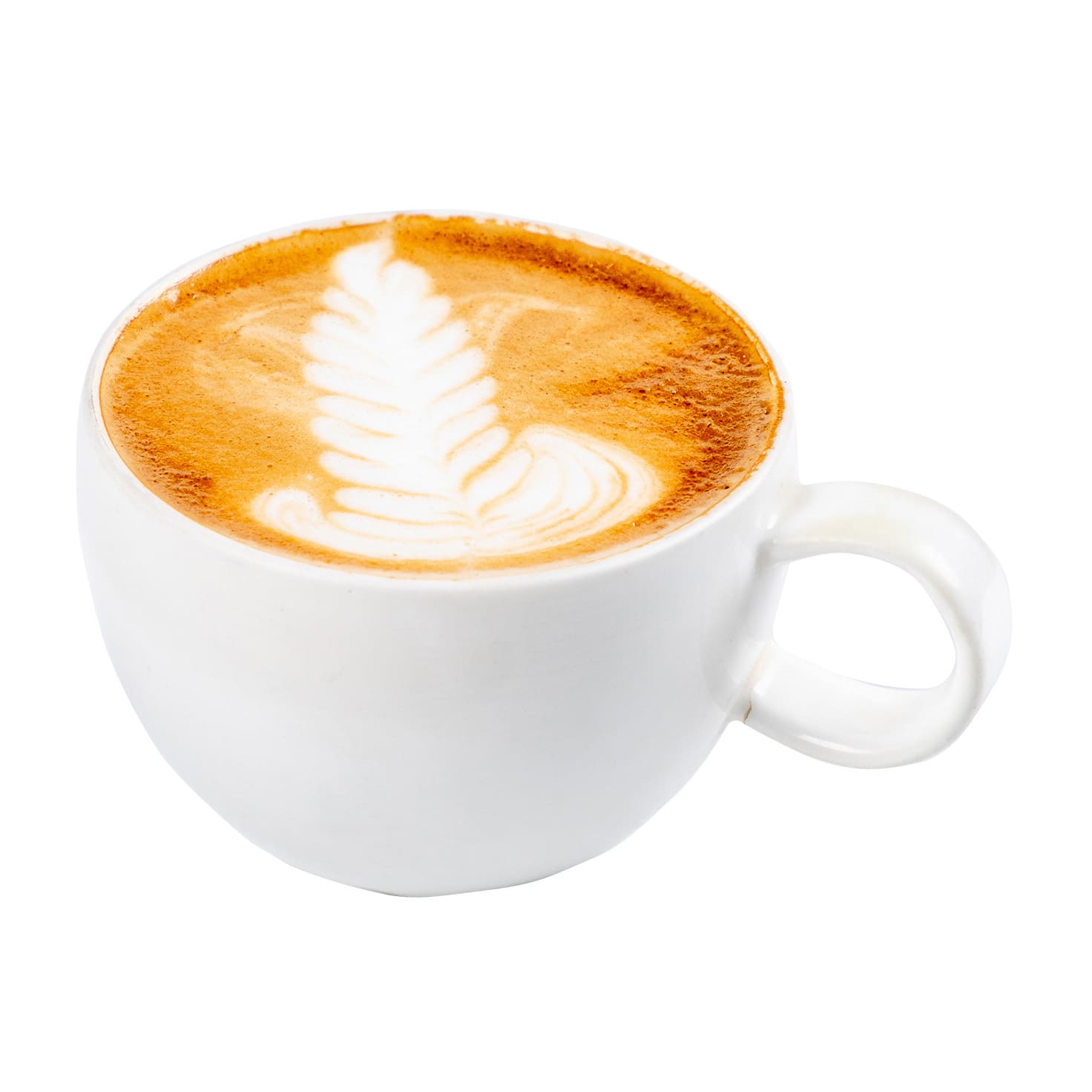 MNEB Latte