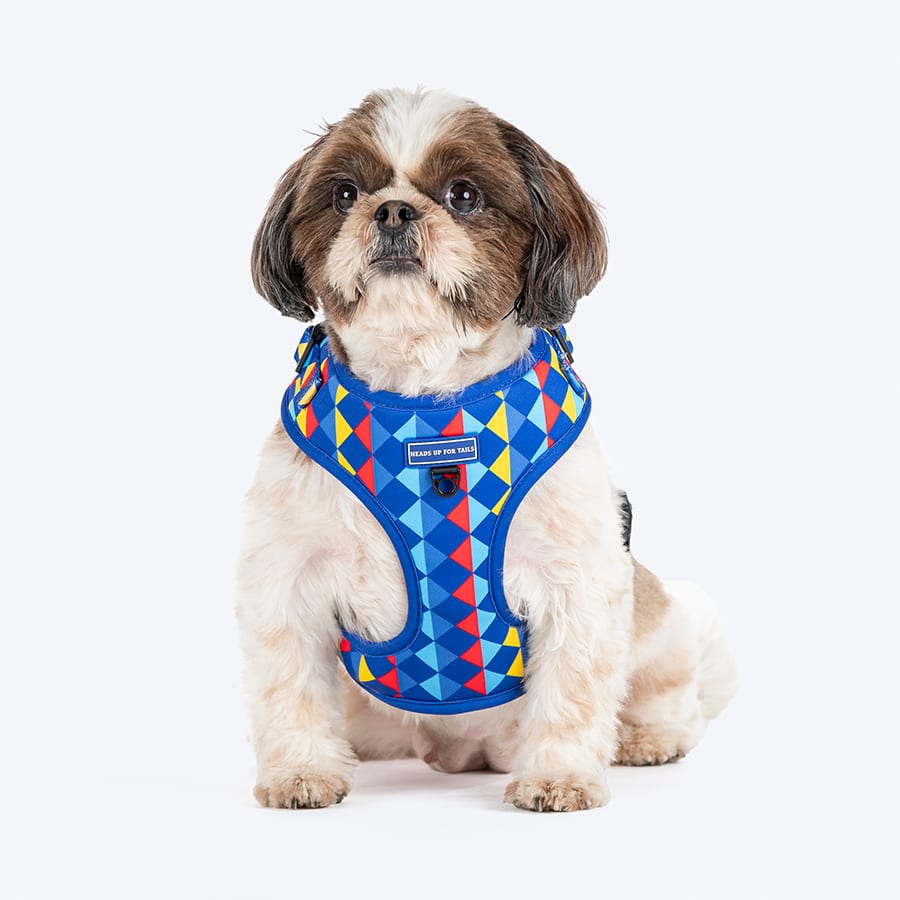 HUFT Prism Patterns Adjustable Dog Harness - Blue - Small Size