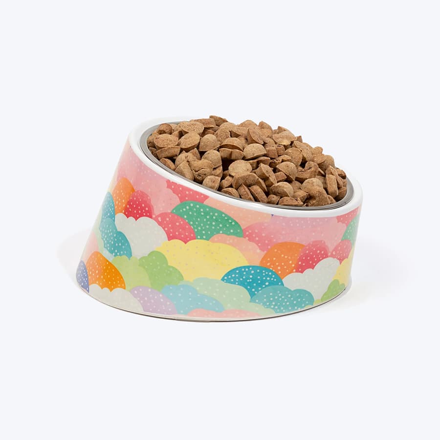 CloudBurst Printed Melamine Slant Bowl With Steel Insert For Dog - Multicolor