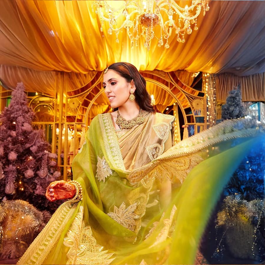 Paan Tissue Saree