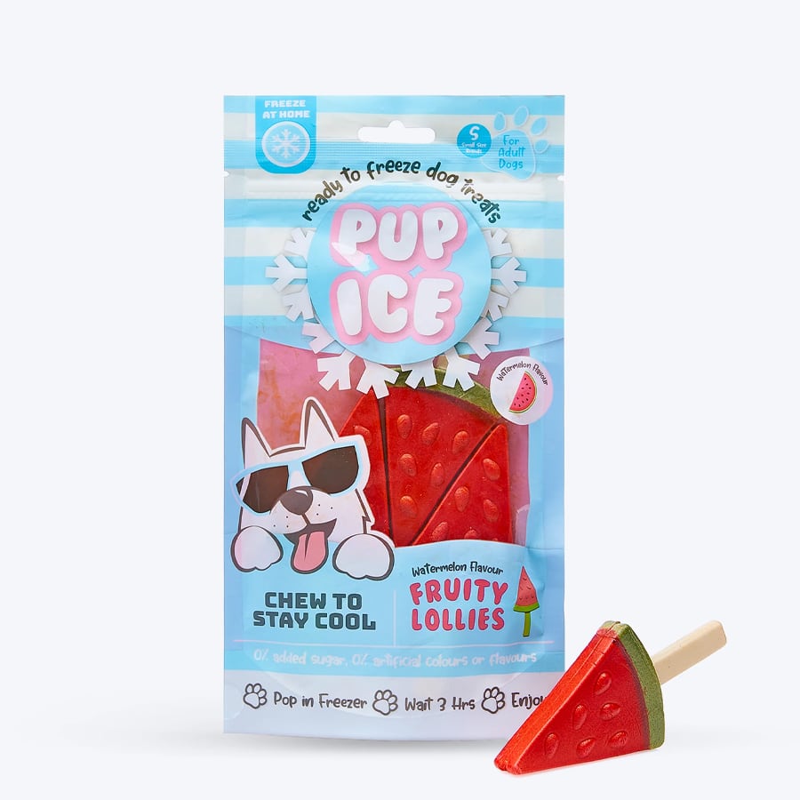 Pup Ice Fruity Lollies Watermelon Ready to Freeze Treat For Adult Dog - 90 gm