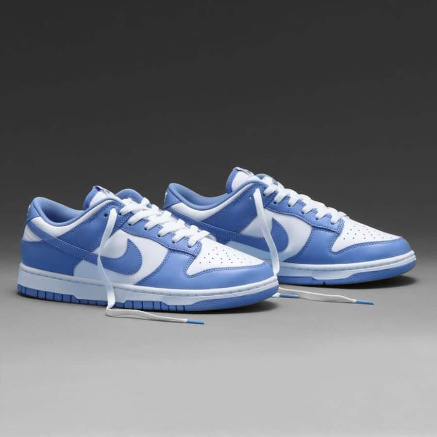 Nike Dunk Low Polar Blue