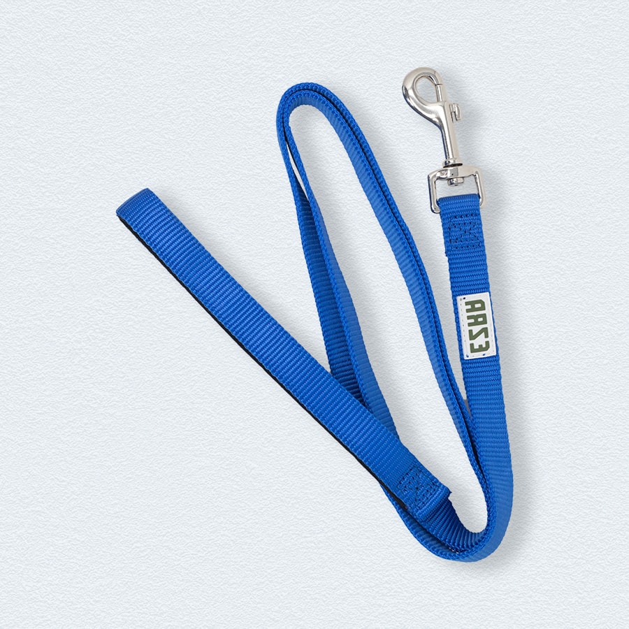 Ezra 3-4 Inch Single Thick Leash