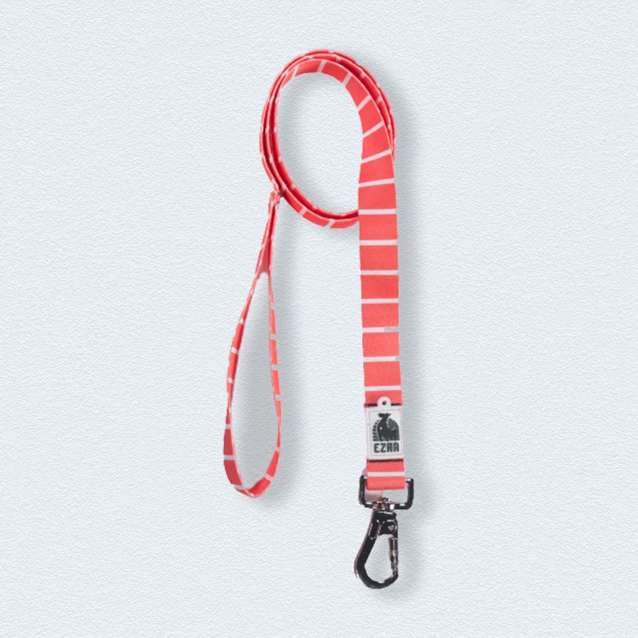 Ezra Digital Print Dog Leash – Assorted