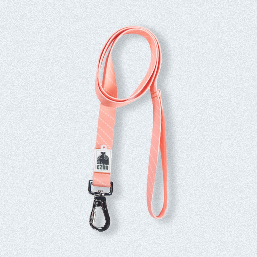Ezra Digital Print Dog Leash – Assorted
