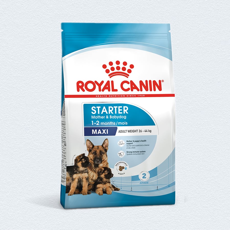 Royal Canin Maxi Starter Dry Dog Food - 220 gram