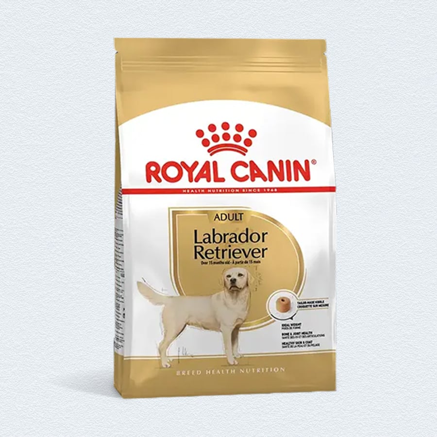 Royal Canin Labrador Retriever Adult Dry Dog Food - 3Kg