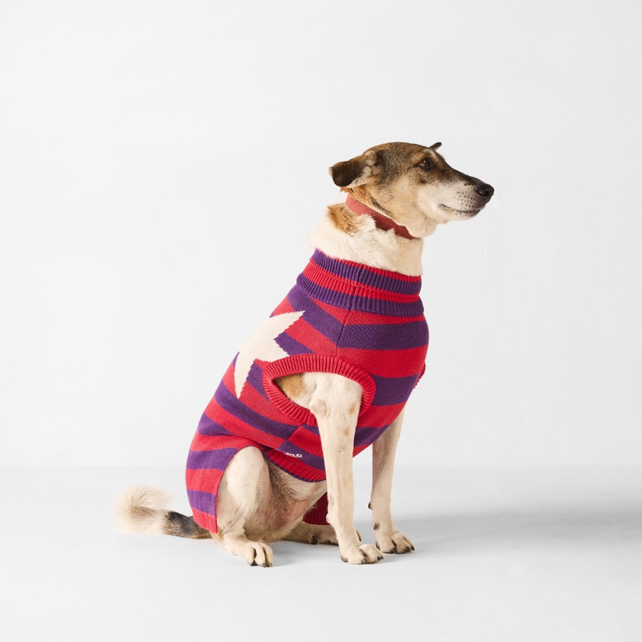 Cosmic Canine Dog Sweater - Red and purple