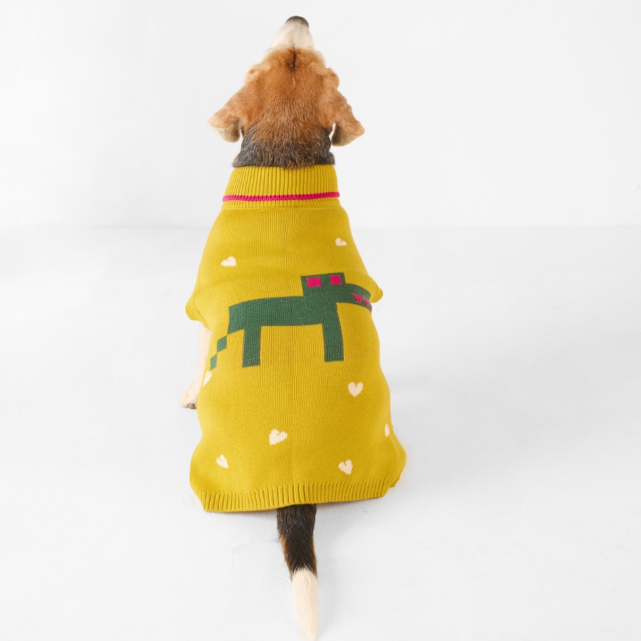 Jurassic Bark Dog Sweater - Chartreuse