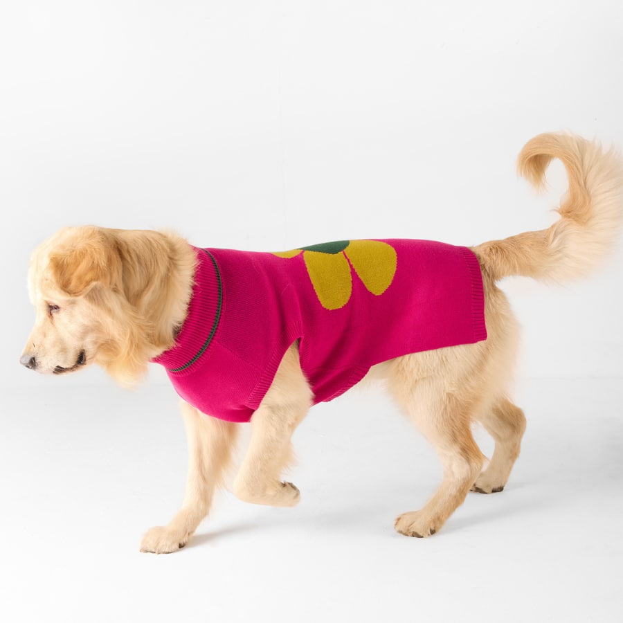 Bark Bloom Dog Sweater - Fuchsia