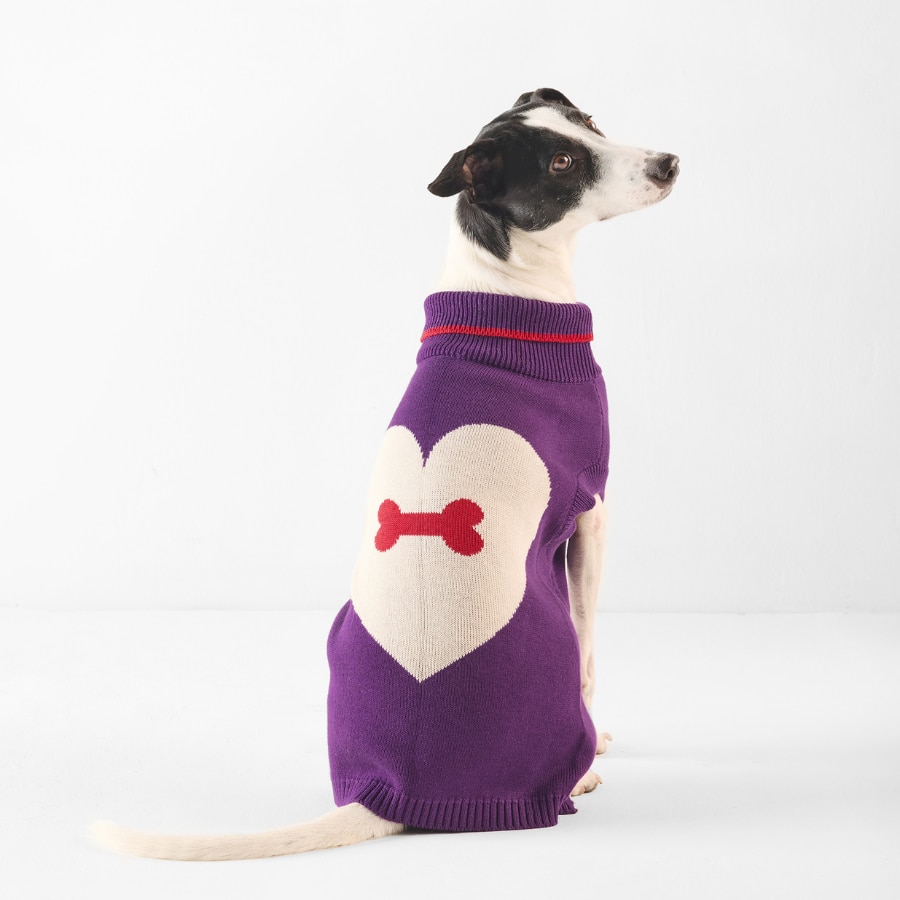 Fur-ever Dog Sweater - Purple