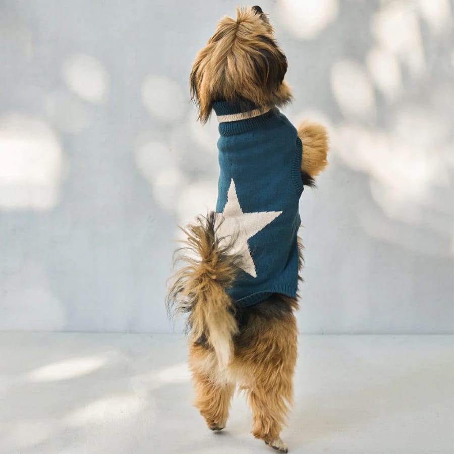 Star Snug Dog Sweater - Teal & Oatmeal