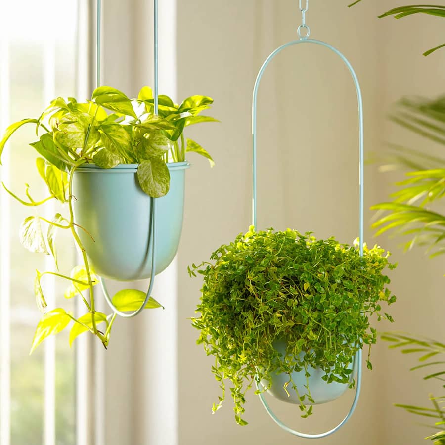 Set of 2 millennial metal hanging planters with oval design