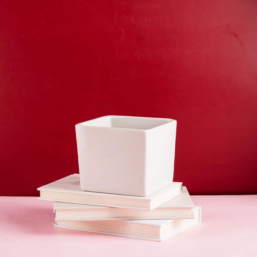 Evergreen ceramic pot with marble finish