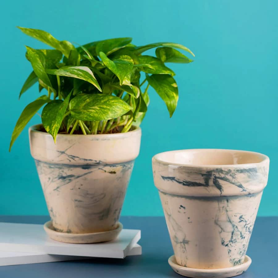 Decorative 6 inch mystique ceramic pots (set of 2)