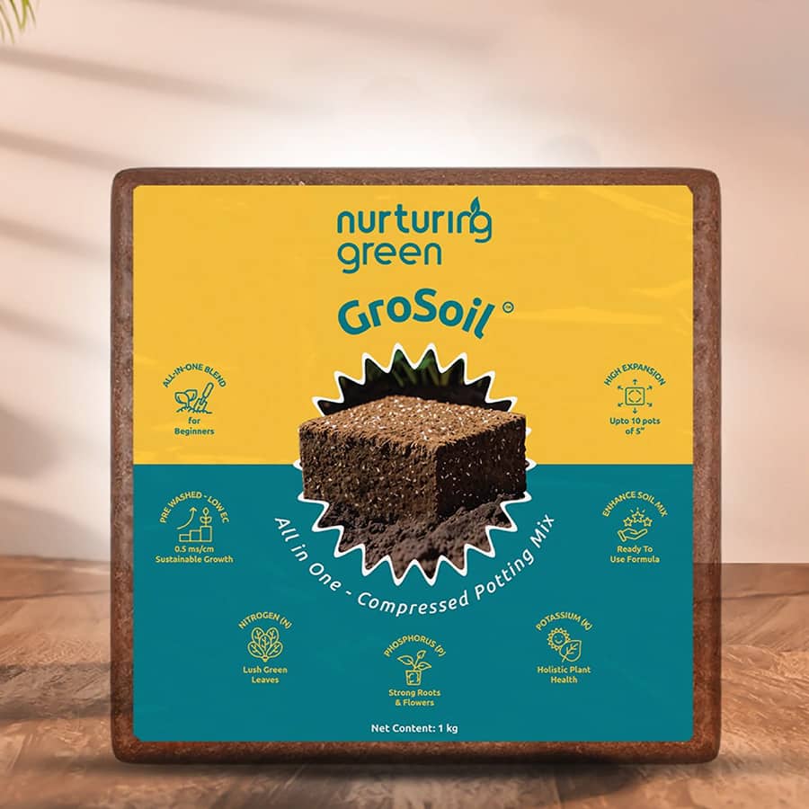 Grosoil potting mix