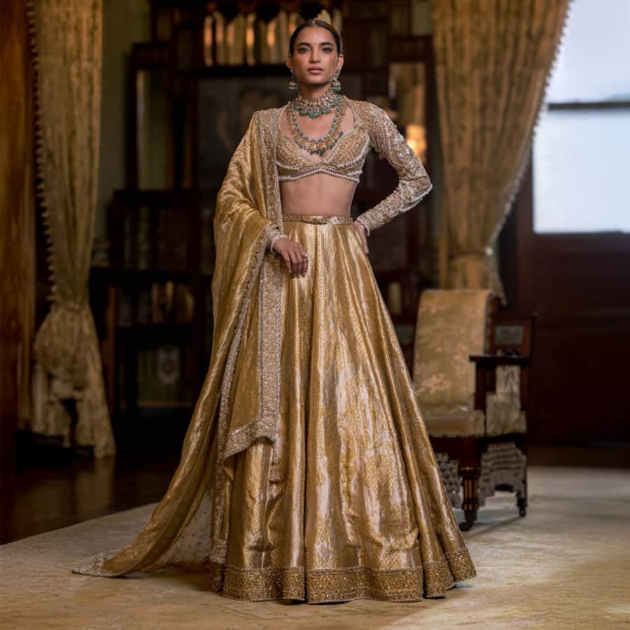 Eleanor Golden Banarasi Silk Lehenga Set With Animal Motifs