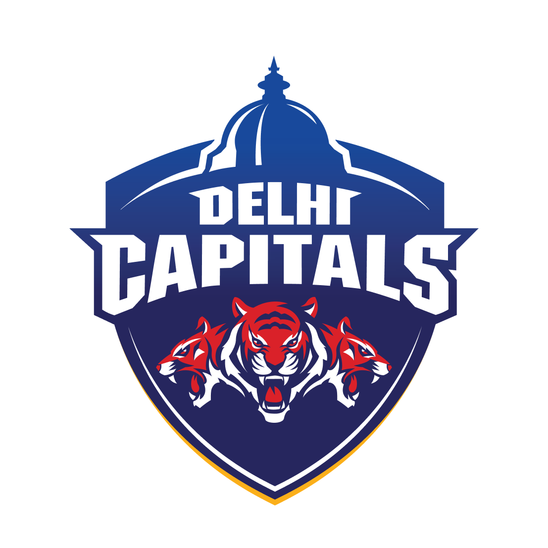 Delhi Capitals