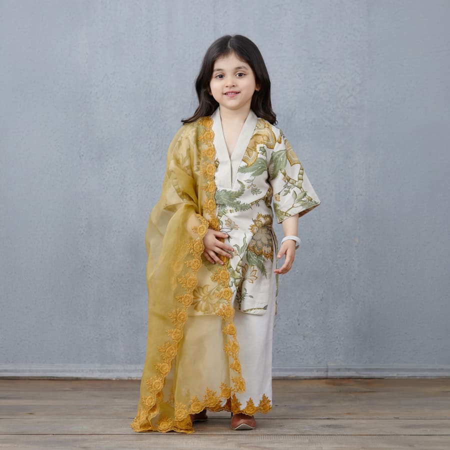 Sarso Namra Kurta Set
