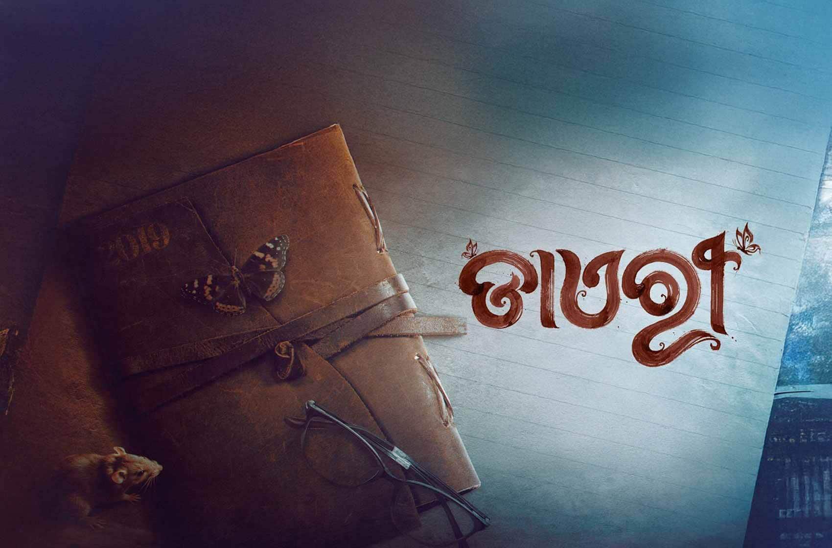Diary movie banner