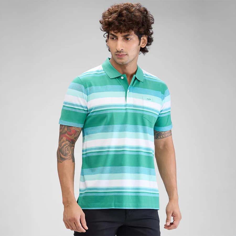 Colorplus Men Green Classic Fit Stripe Polo Neck Collar T-Shirt