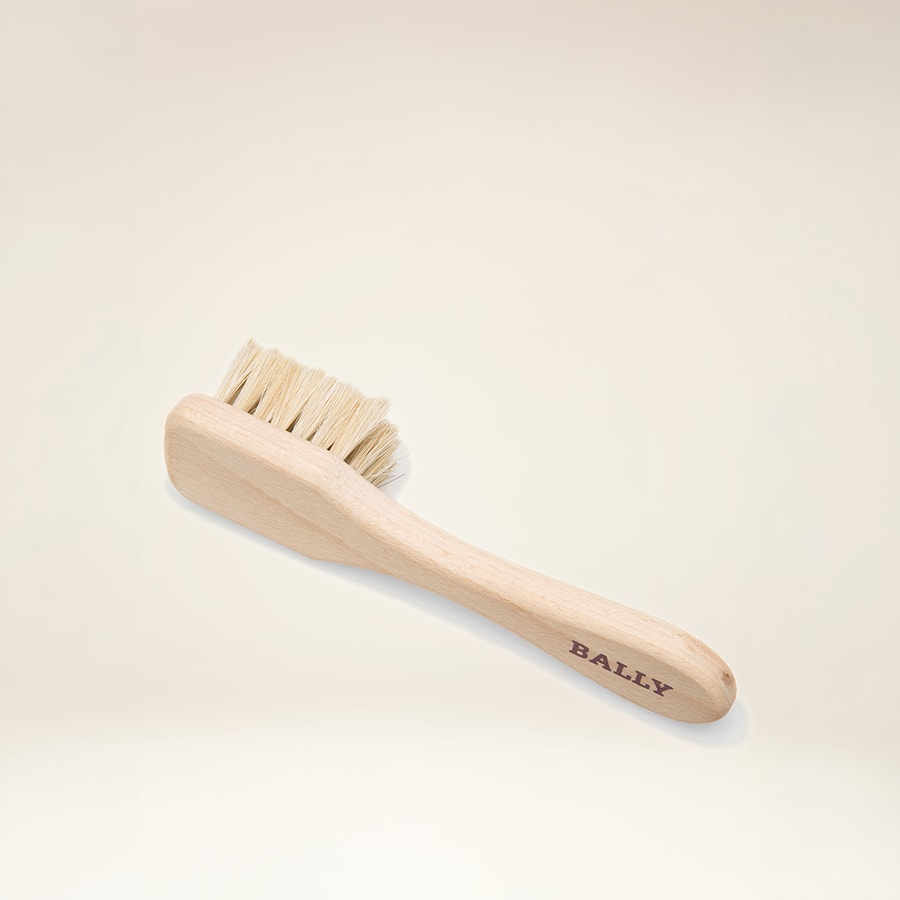 Shoe Care Brush