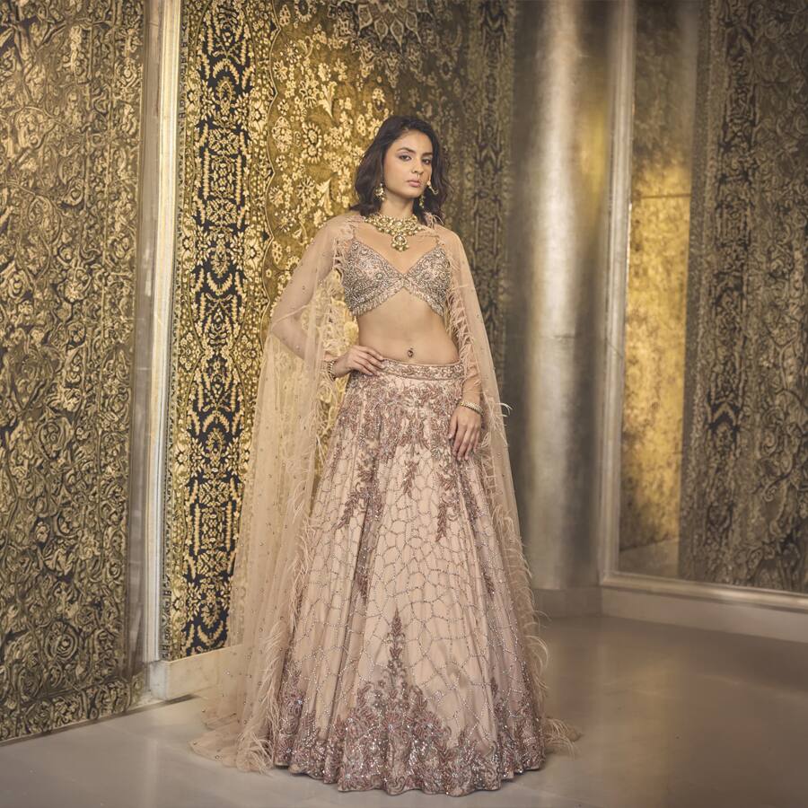 Enchanting Nude Net Lehenga with Swarovski & Sequin Splendor