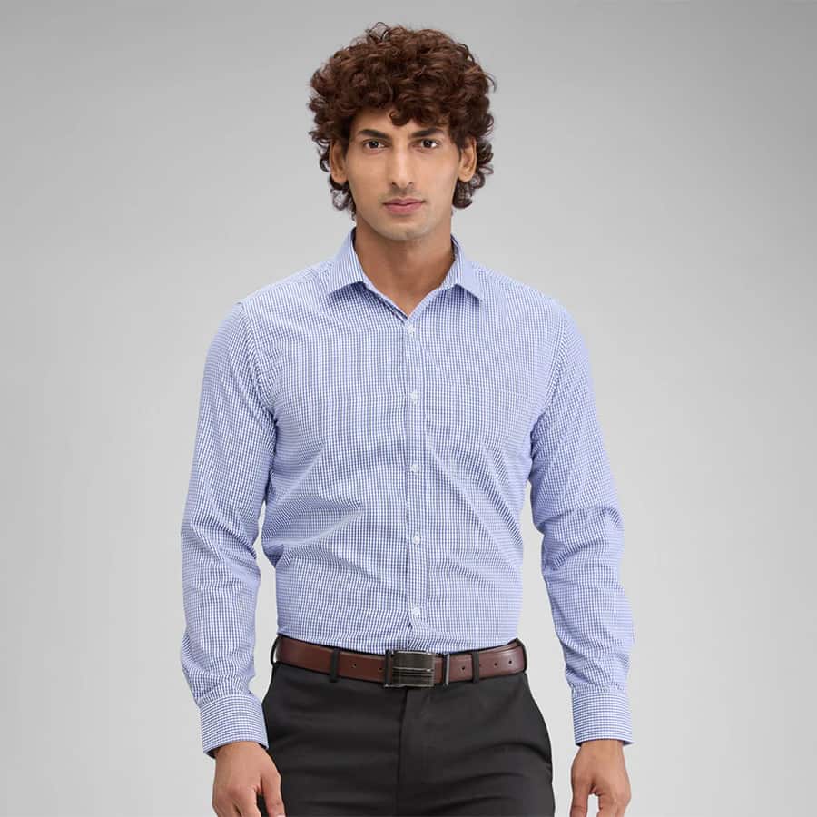 Park Avenue Men Blue Slim Fit Checks Formal Shirt
