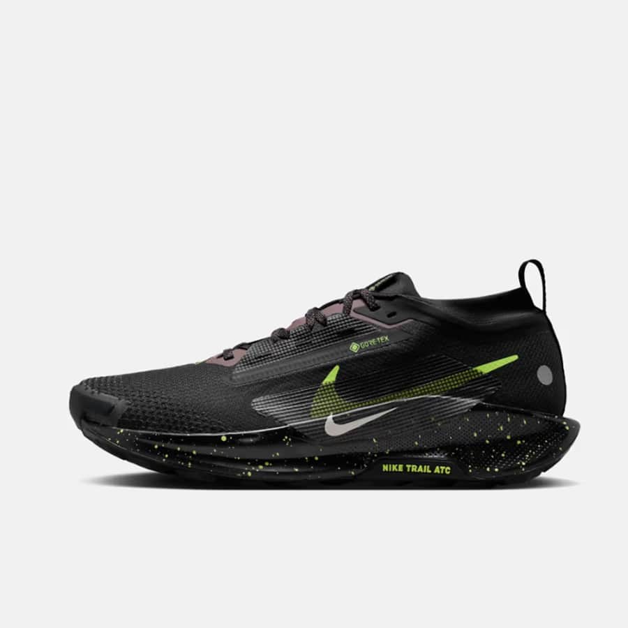 Nike Pegasus Trail 5 GORE-TEX