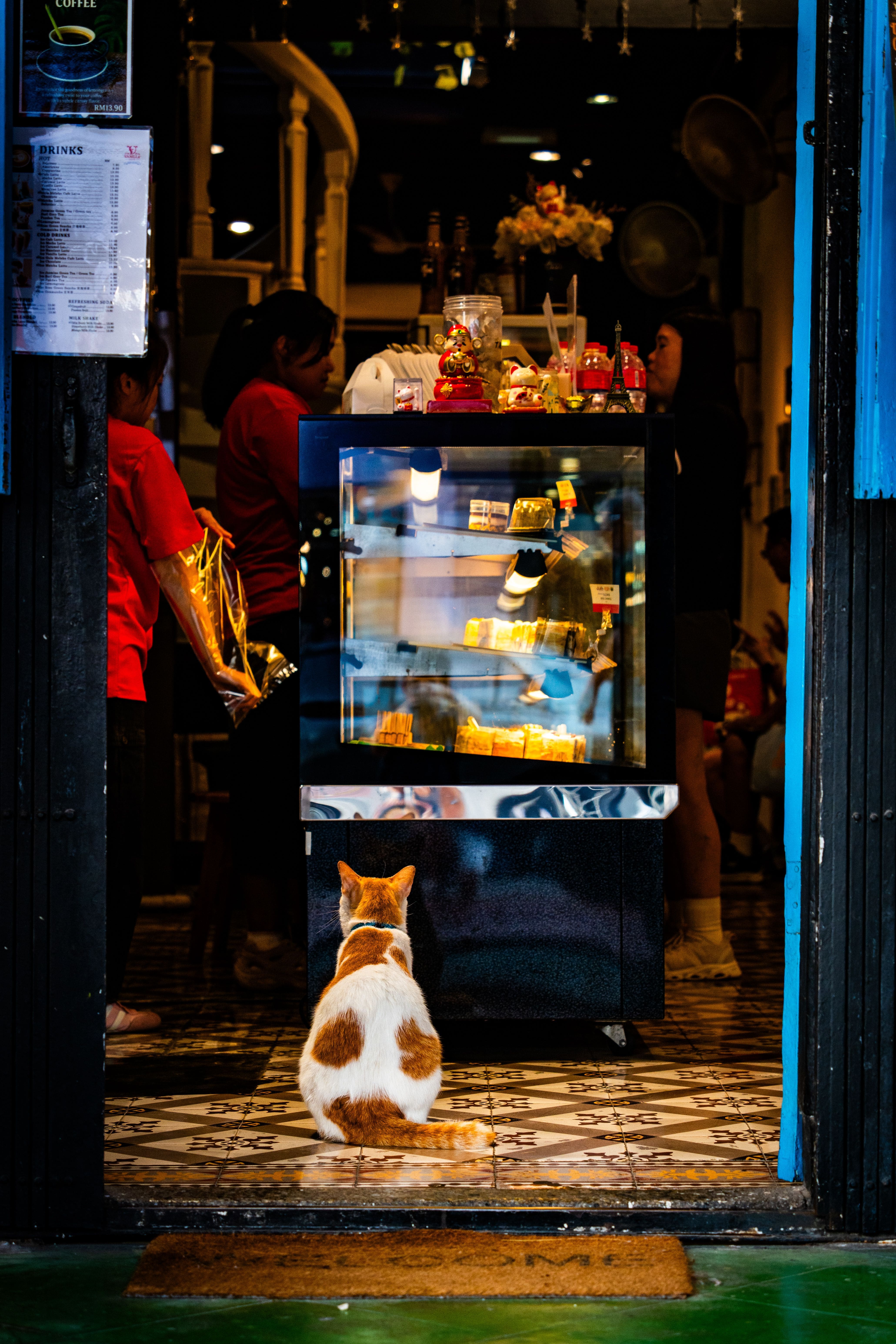 Out and About in Kolkata with Your Pet