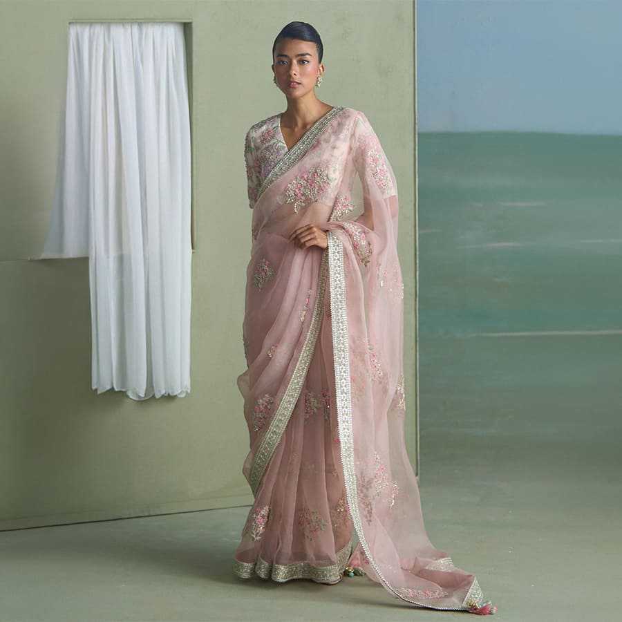 Alice Dori Saree