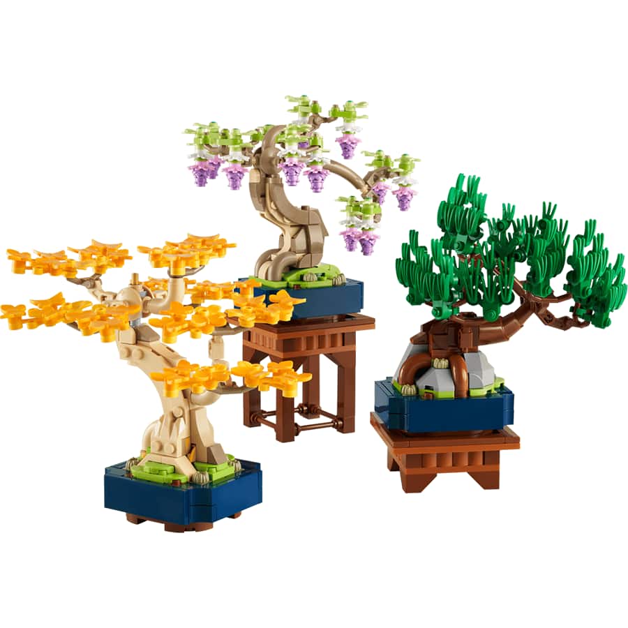 Mini Bonsai Trees