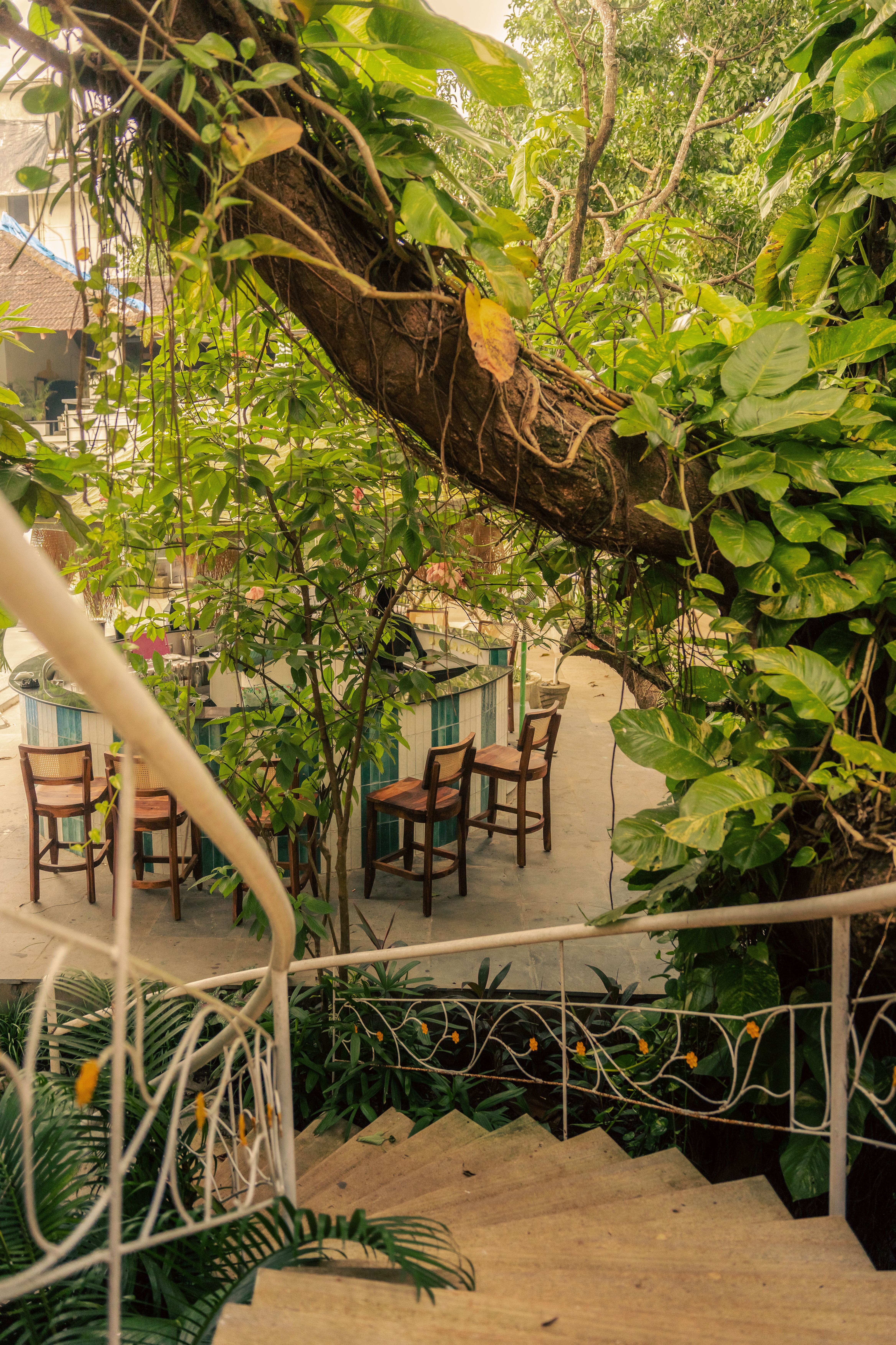 cafes, outdoor cafe near me, outdoor cafes, cafe outdoor seating, cafe with outdoor seating near me - Goa Cafés Made for Long, Sunny Afternoons - img1