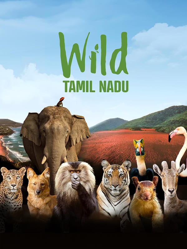 Wild Tamil Nadu