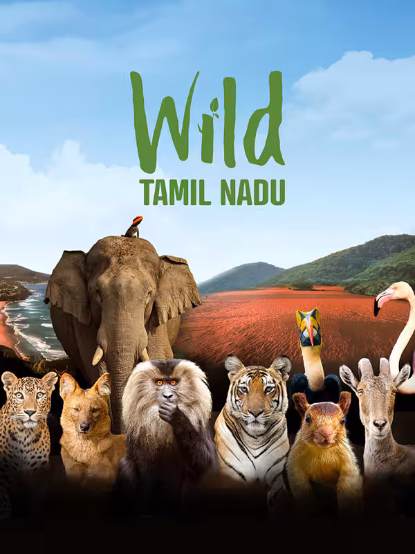 Wild Tamil Nadu