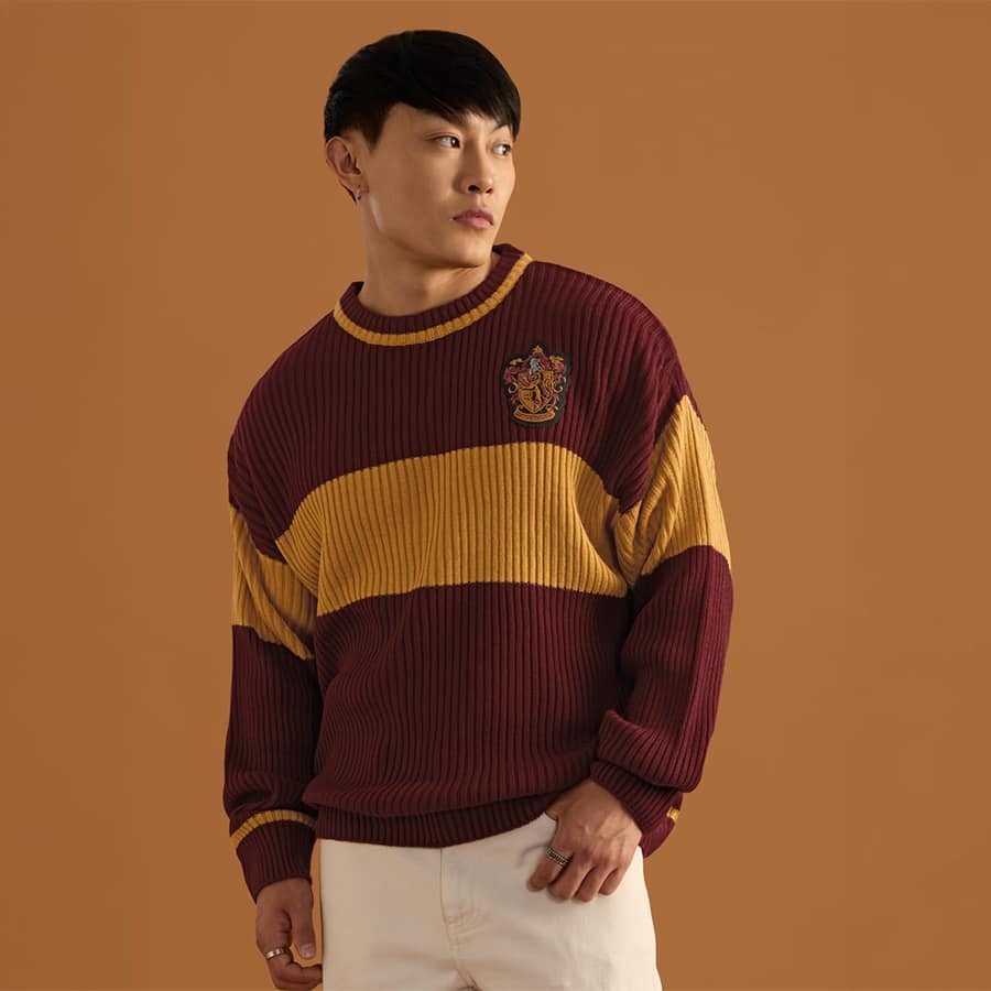 Harry Potter: Lion's House (Oversized Pullovers)