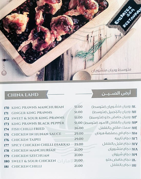 menu-at-emirates-sea-restaurant-dubai-20-1-24-st